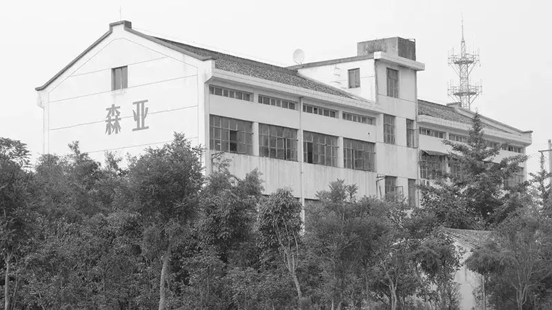 Historia del desarrolo