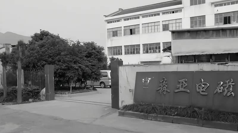 Historia del desarrolo