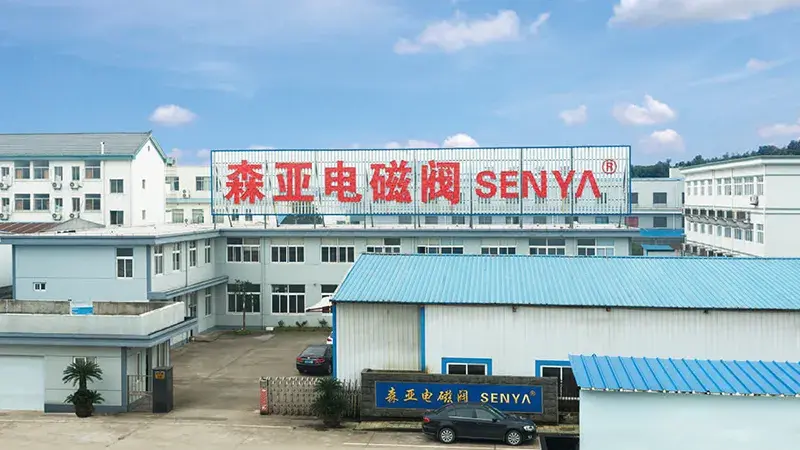 Historia del desarrolo